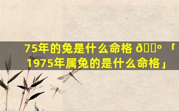 75年的兔是什么命格 🌺 「1975年属兔的是什么命格」